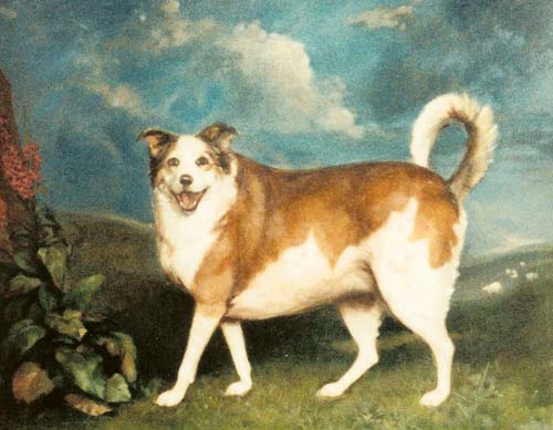 Dame Margaret Price's dog